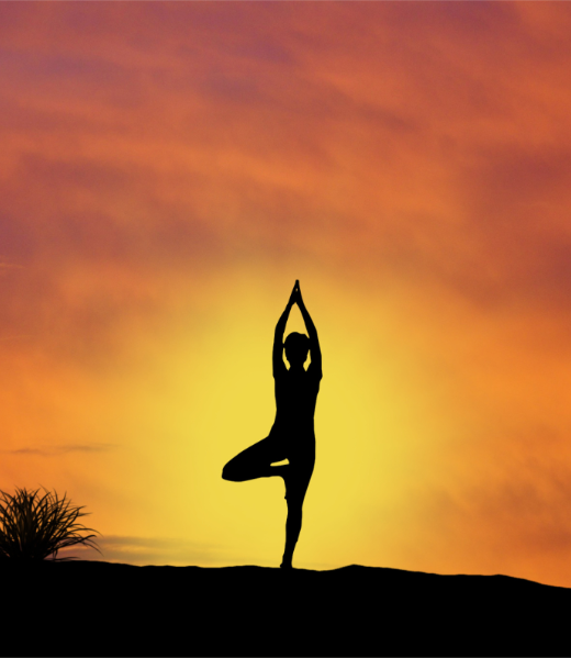 Healin Sonipat 9254973305