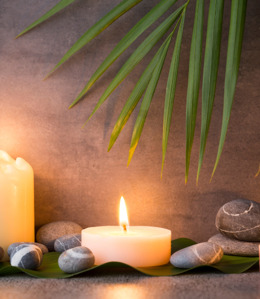 Herbal Basti + Colon Hydro Reset